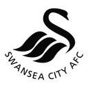 Viprow Swansea City Team