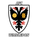 Viprow AFC Wimbledon Team