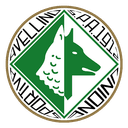 Viprow US Avellino Team